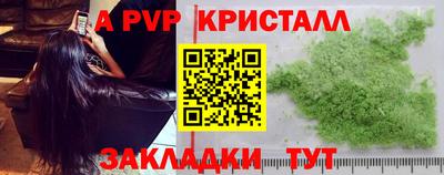 соль ск Новозыбков