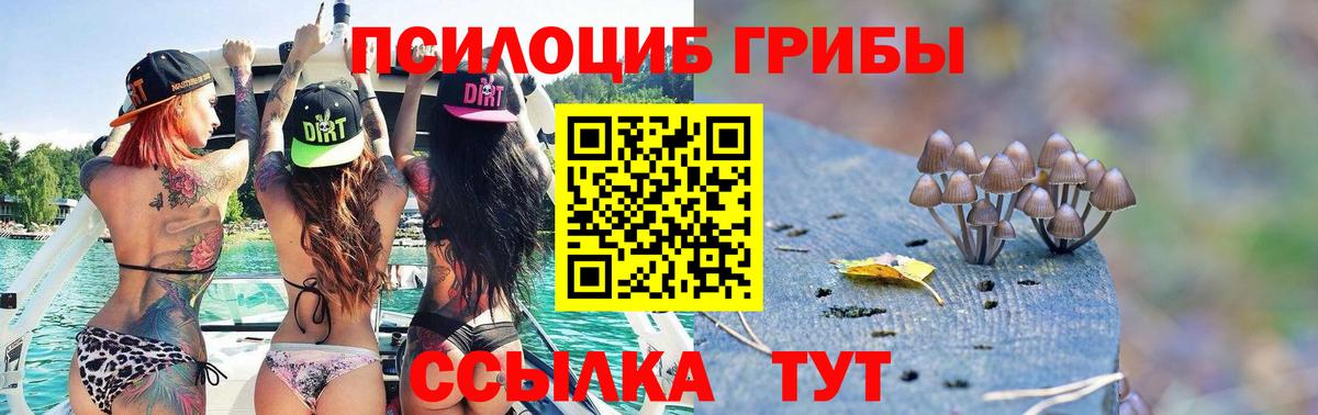 Псков  Псилоцибиновые грибы GOLDEN TEACHER  Галлюциногенные грибы MAGIC MUSHROOMS  Вход с VPN 